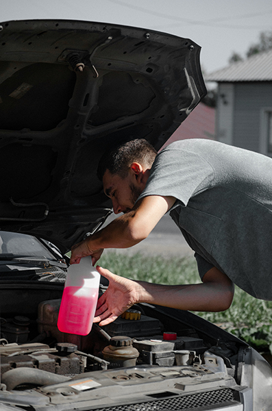 Fluid Inspection & Flush